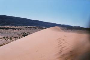 Alouane SAID - Alouane Said Ruspoli