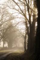 Nicolas RIFFAUD - riffaud.nicolas@gmail.com